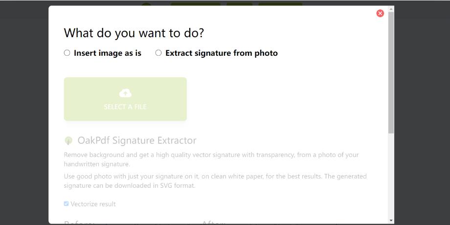 Add Signature Via Image