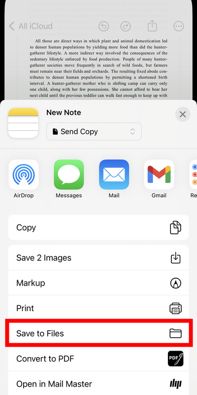 Save the Book as PDF