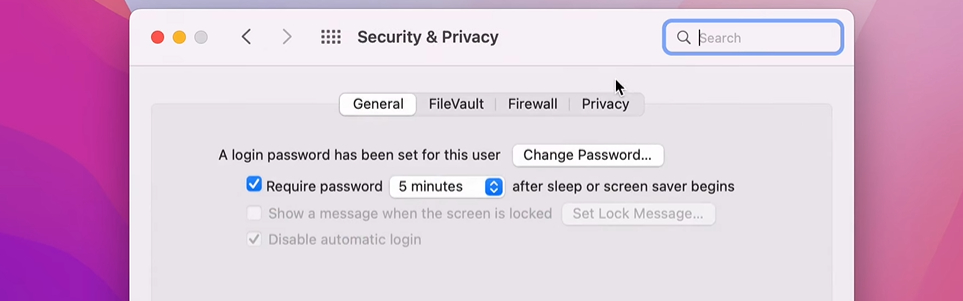 Access the Privacy Tab
