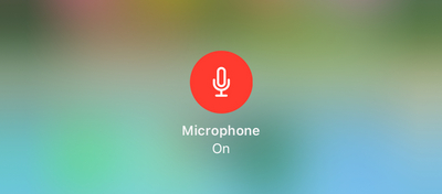 Press Microphone to Record Audio