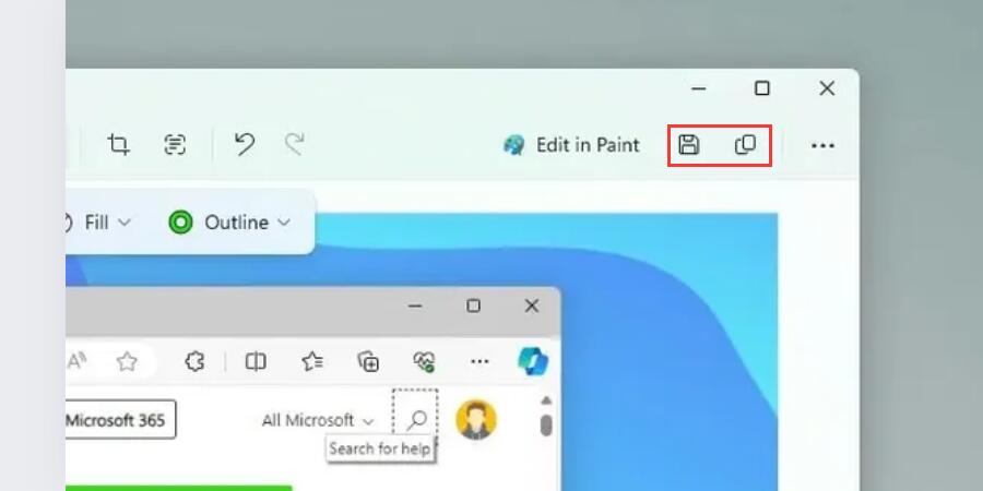Save or Copy Screenshot
