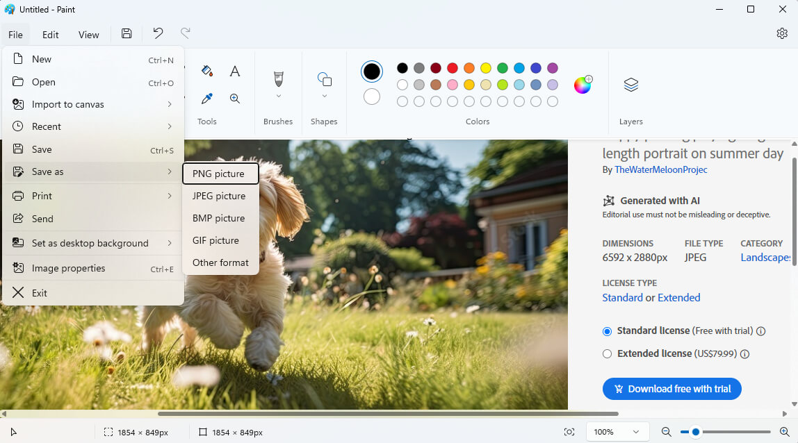 Save Screenshots in Paint