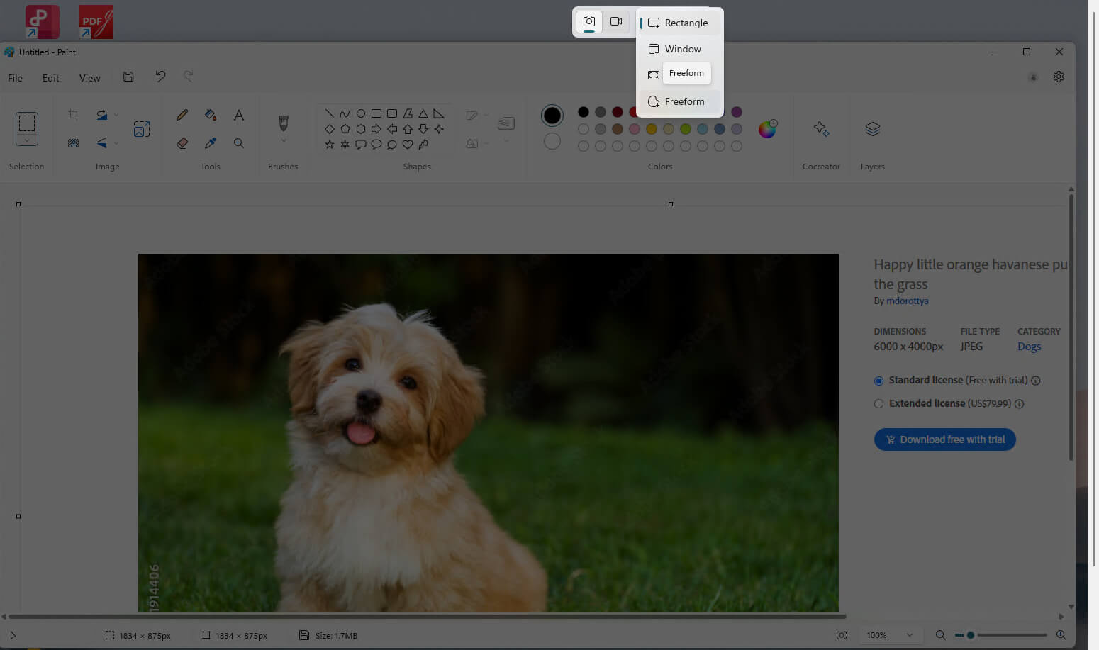 Screenshot Freeform