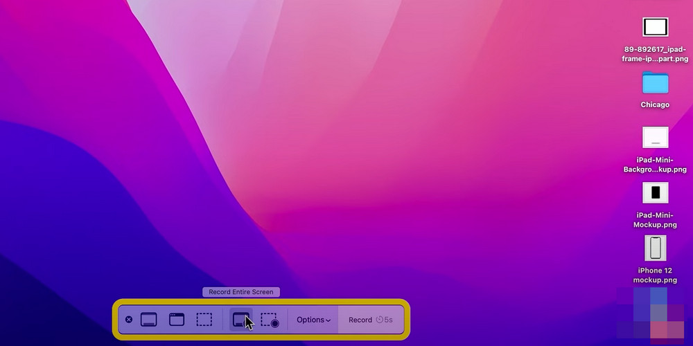 Set Recording Preference