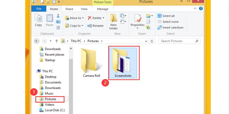 Capture a Screenshot