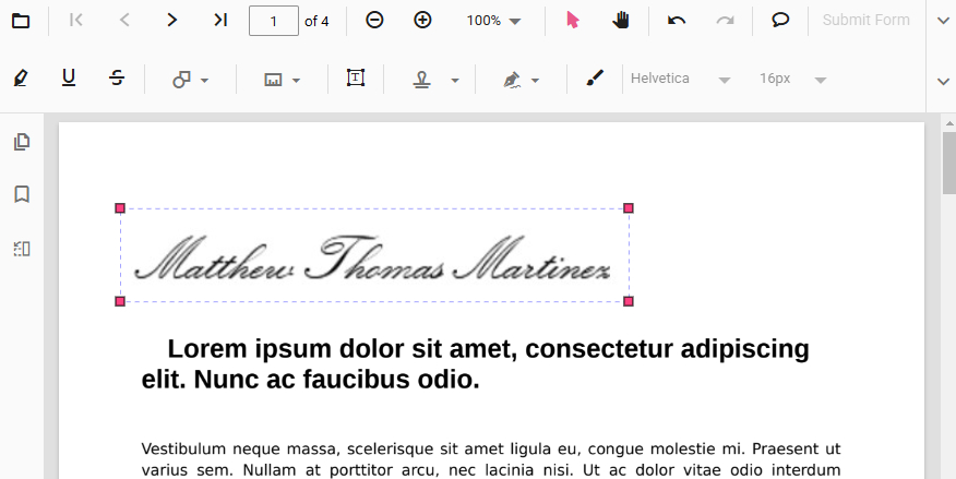 Place and Resize Your Signature
