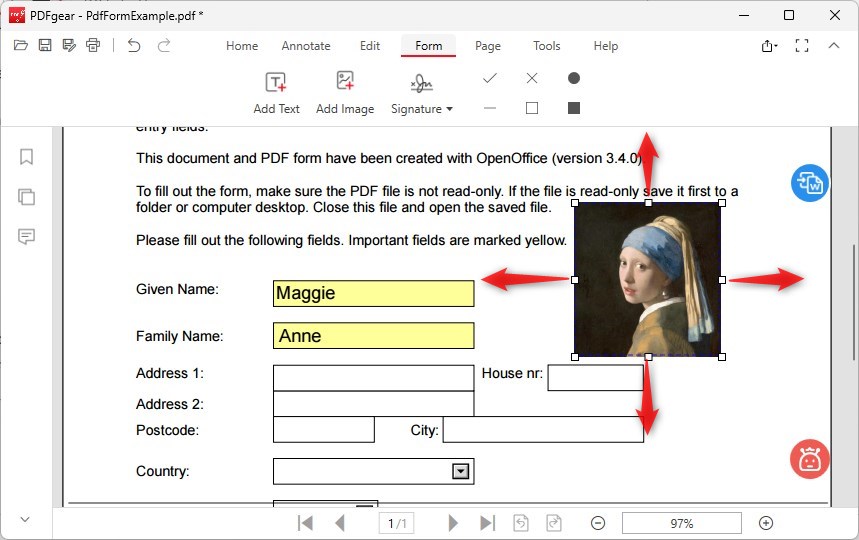 Add Image to the Form
