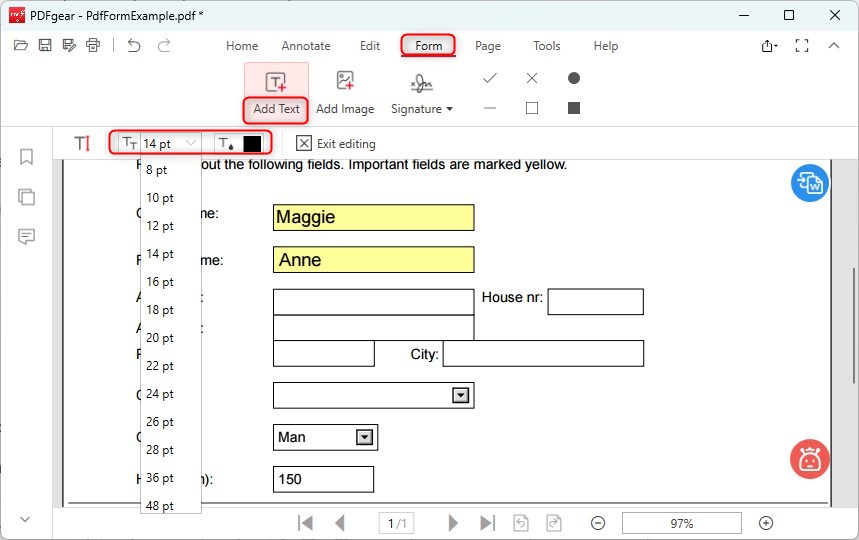 Add Text to the Form