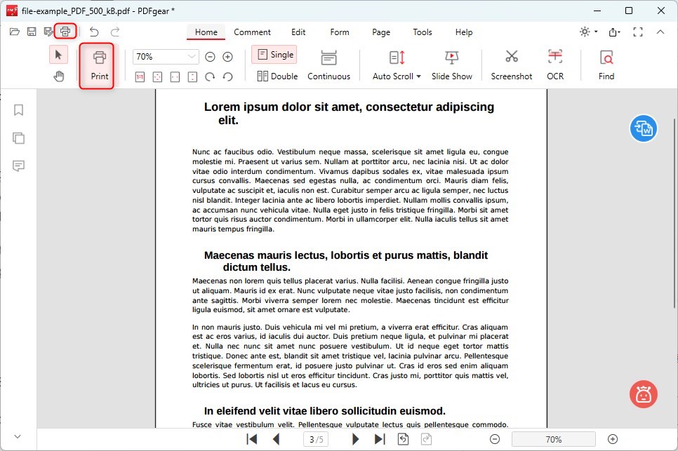 Click on the Print Icon