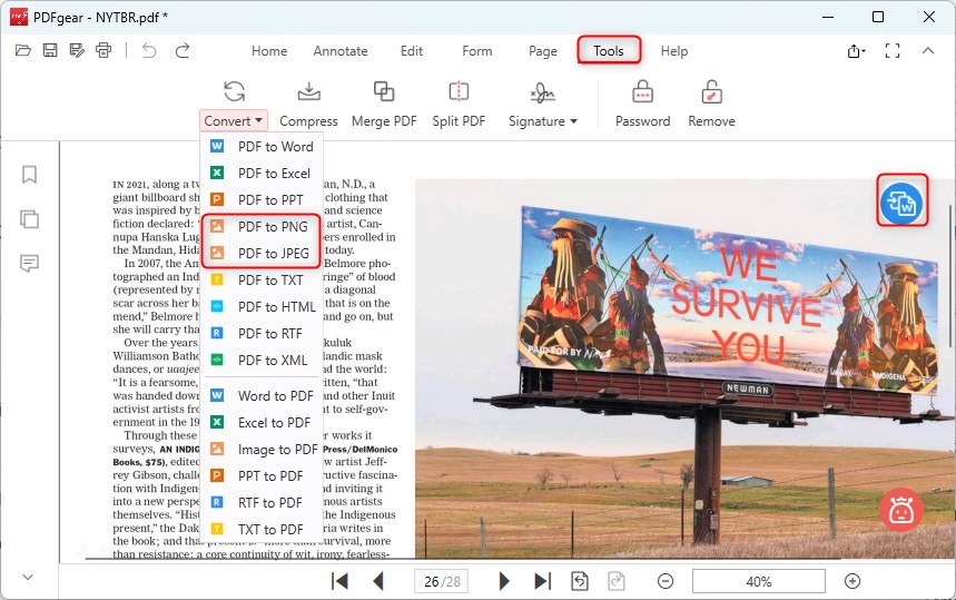 Convert PDF to Image