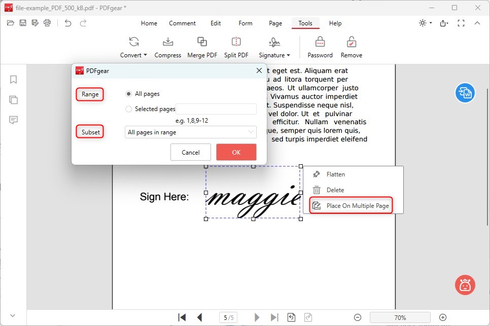 Place the Signature on Multiple Pages