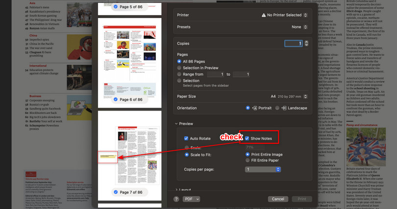Print and Save a PDF with Notes