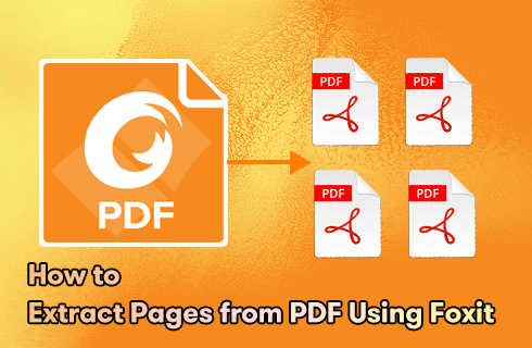 How to Extract Pages from PDF Using Foxit