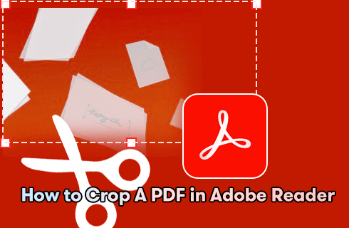 Crop PDF Files in Adobe Reader