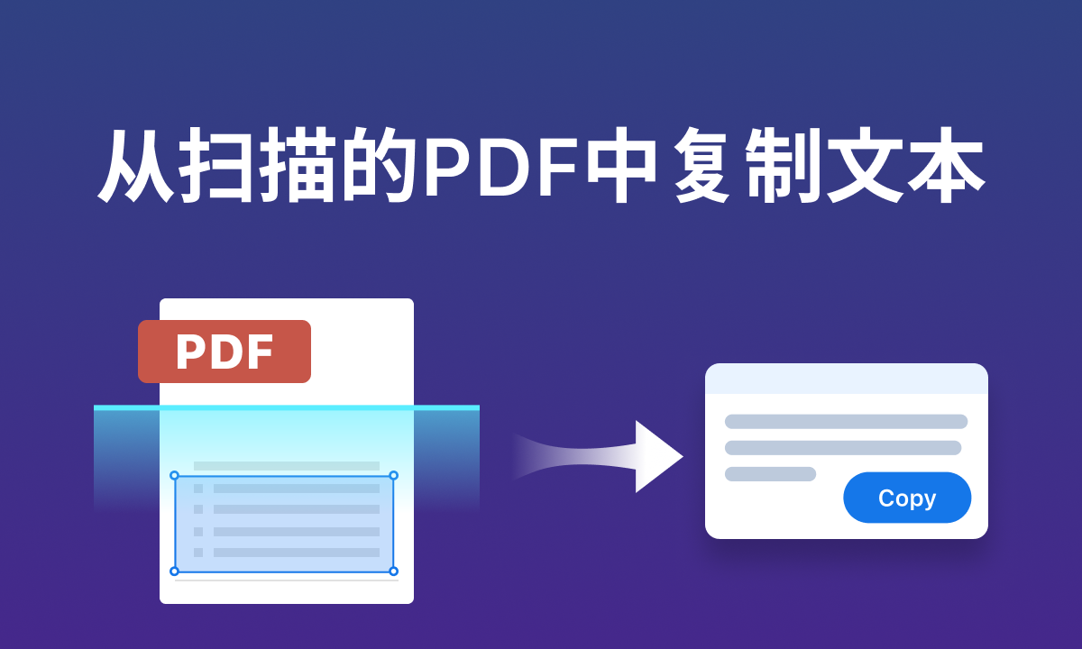 从扫描的PDF中复制文本