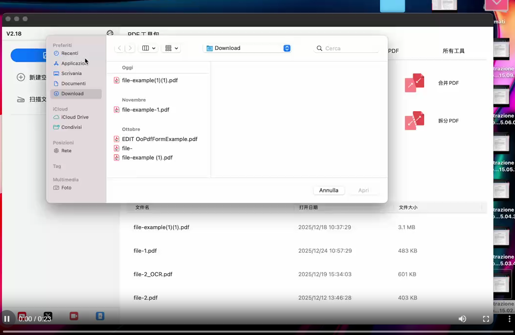在 Mac 上对 PDF 进行绘图