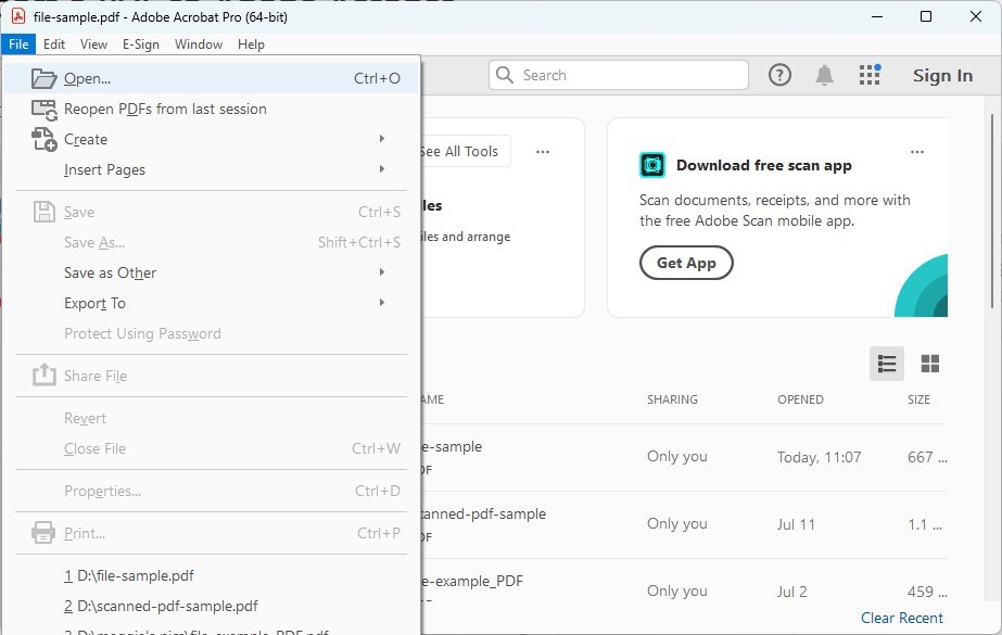 在Adobe Acrobat中打开PDF