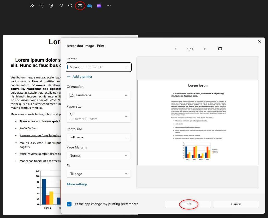 打印密码保护的PDF图像