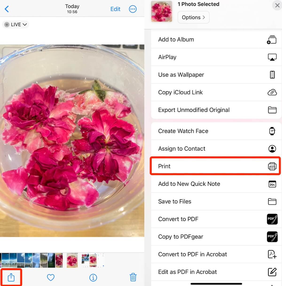 选择打印一张图片