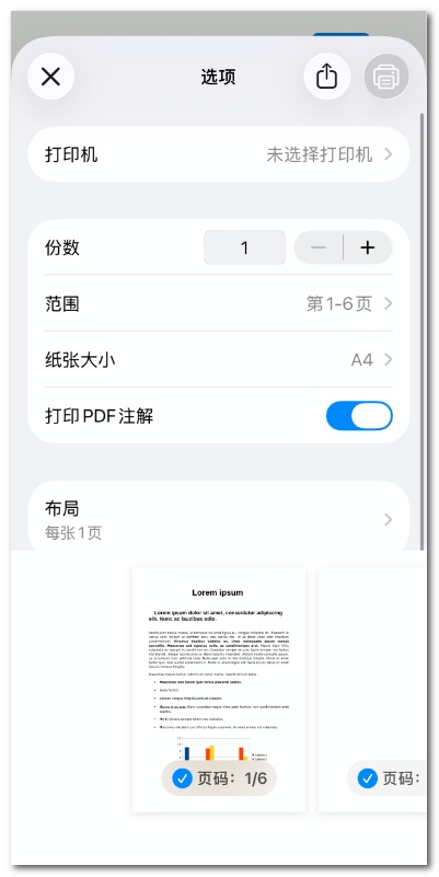 自定义打印设置