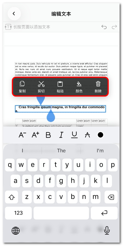 在 iOS 上选择要编辑的文本