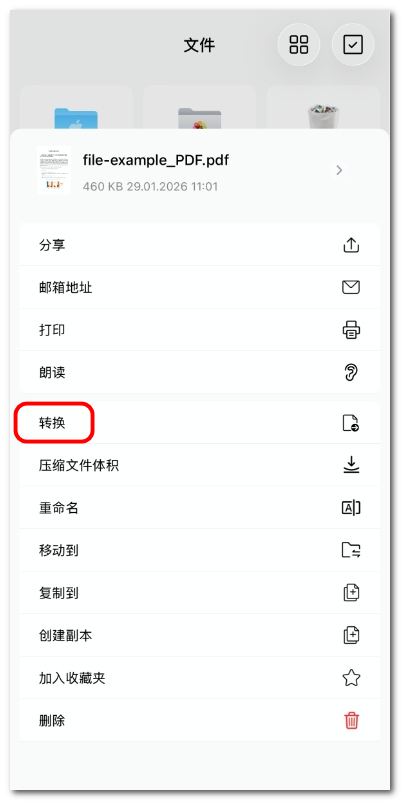 选择转换 PDF 选项