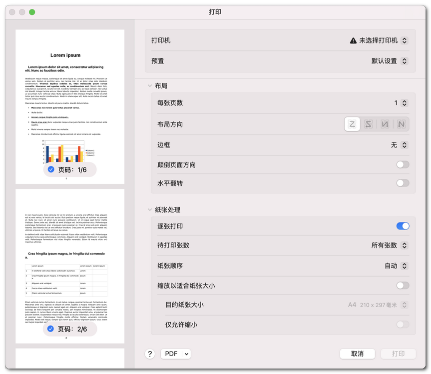 设置打印版式选项