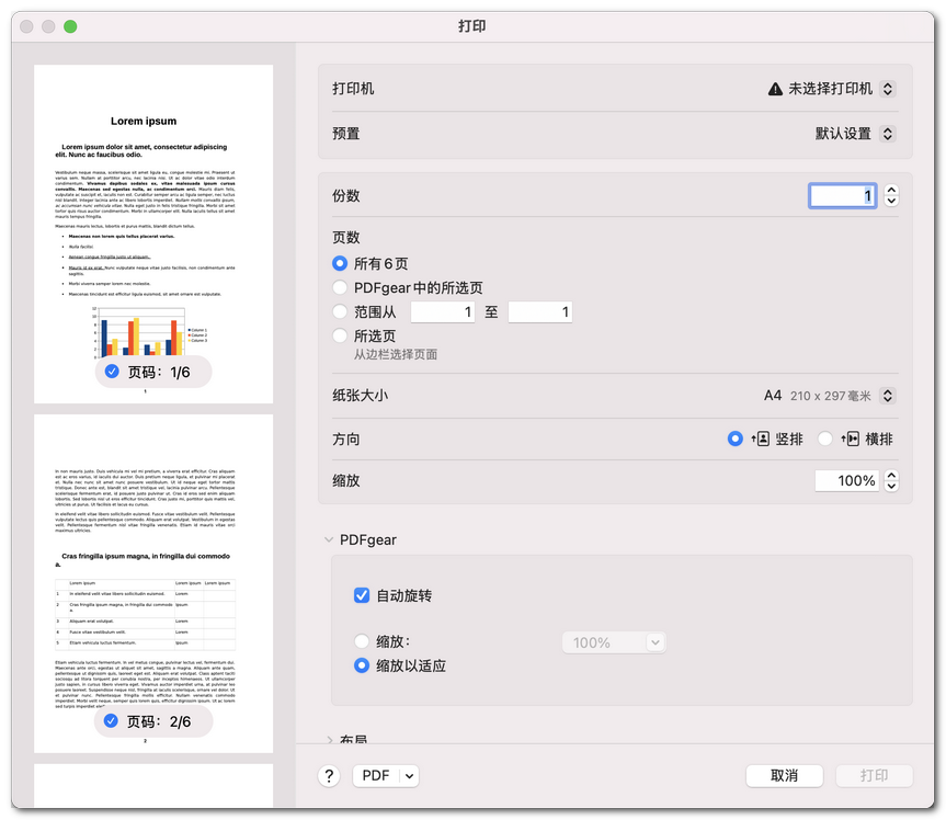 设置打印页面选项